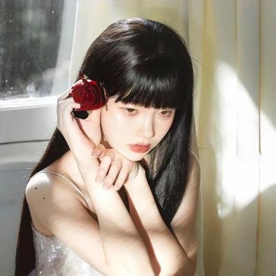 芭比的完美圣诞